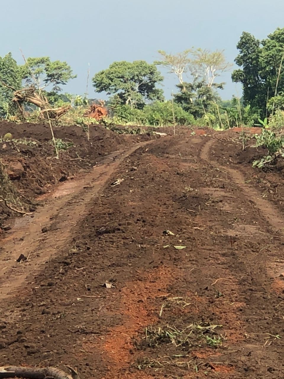 Plot of land for sale