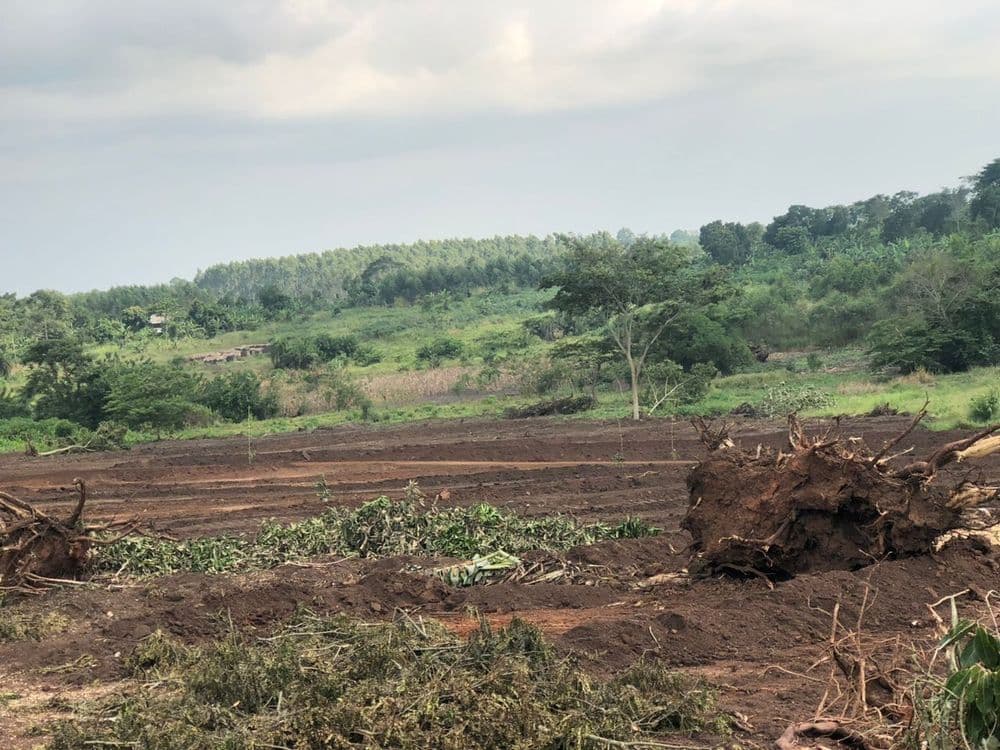 Plot of land for sale
